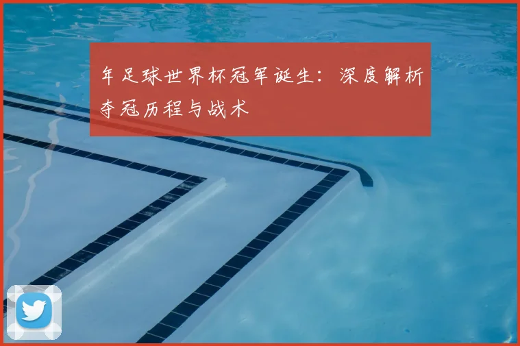 年足球世界杯冠军诞生：深度解析夺冠历程与战术