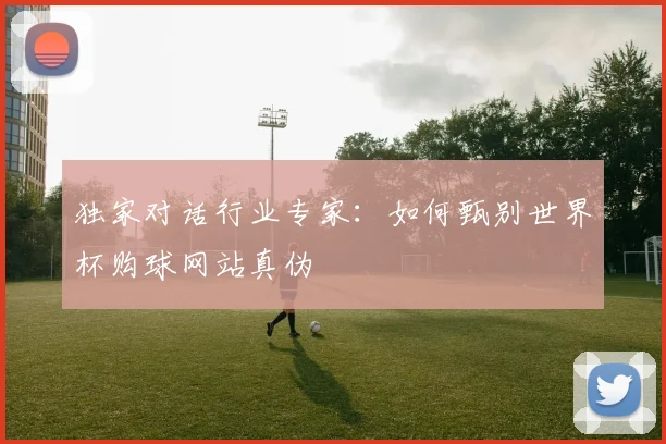 独家对话行业专家：如何甄别世界杯购球网站真伪