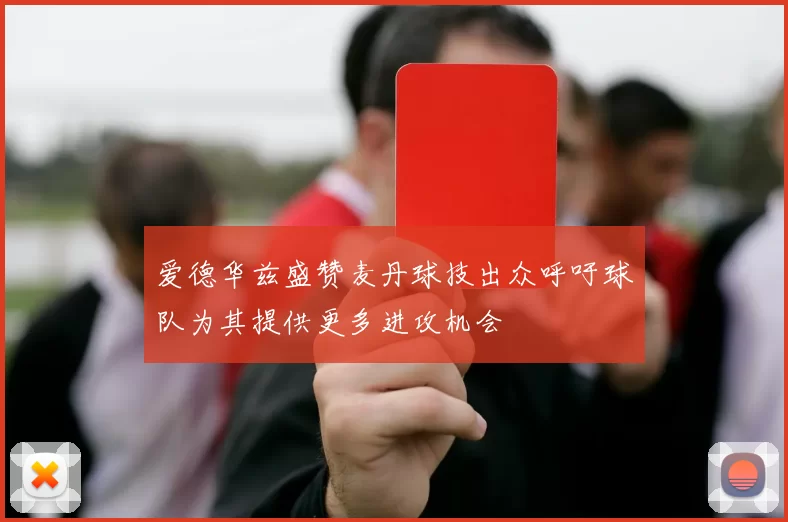爱德华兹盛赞麦丹球技出众呼吁球队为其提供更多进攻机会