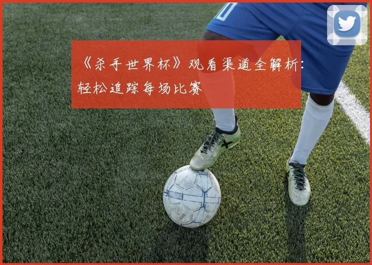 《杀手世界杯》观看渠道全解析：轻松追踪每场比赛