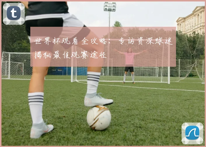 世界杯观看全攻略:专访资深球迷揭秘最佳观赛途径