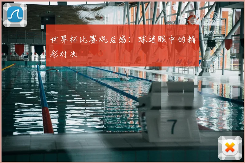 世界杯比赛观后感:球迷眼中的精彩对决
