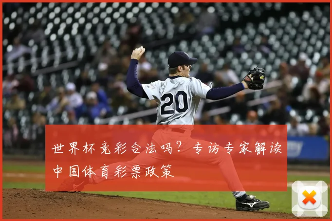 世界杯竞彩合法吗?专访专家解读中国体育彩票政策