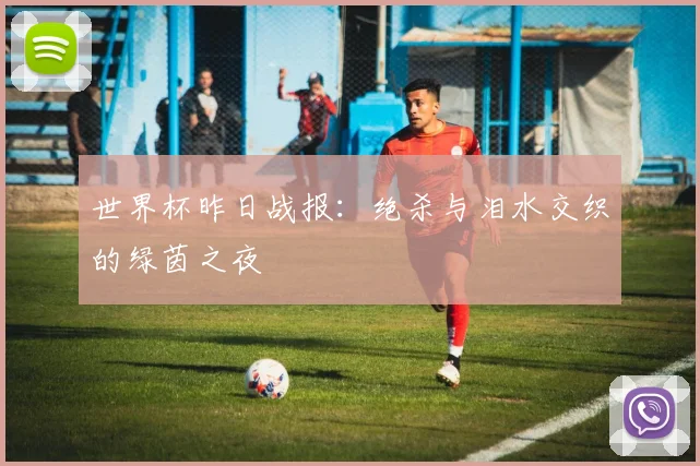 世界杯昨日战报：绝杀与泪水交织的绿茵之夜