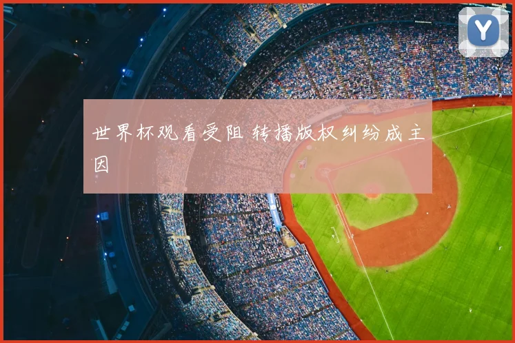 世界杯观看受阻 转播版权纠纷成主因