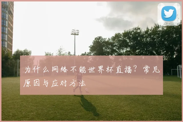为什么网络不能世界杯直播?常见原因与应对方法
