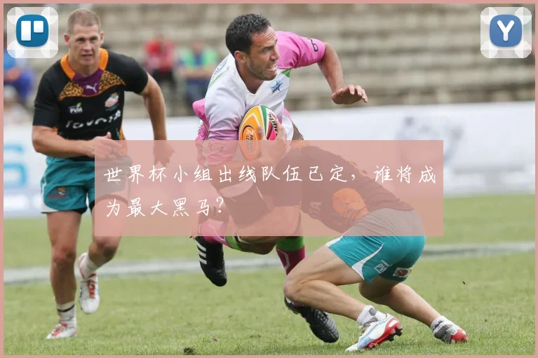 世界杯小组出线队伍已定，谁将成为最大黑马？