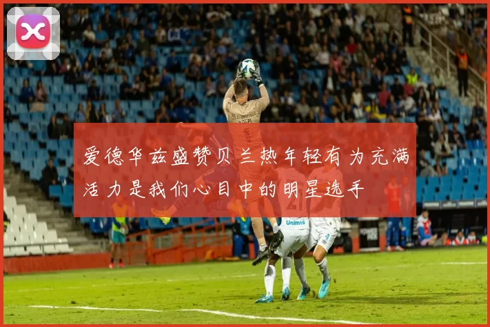 爱德华兹盛赞贝兰热年轻有为充满活力是我们心目中的明星选手